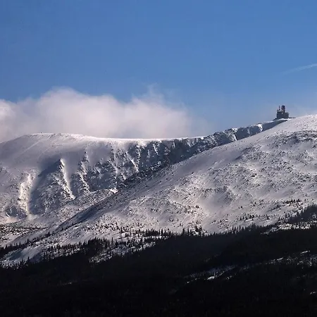 Invest Perla C12 * シクラルスカ・ポレンバ